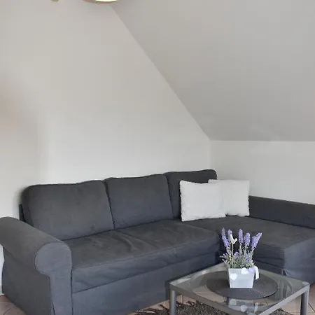 Sari Apartman שיופוק