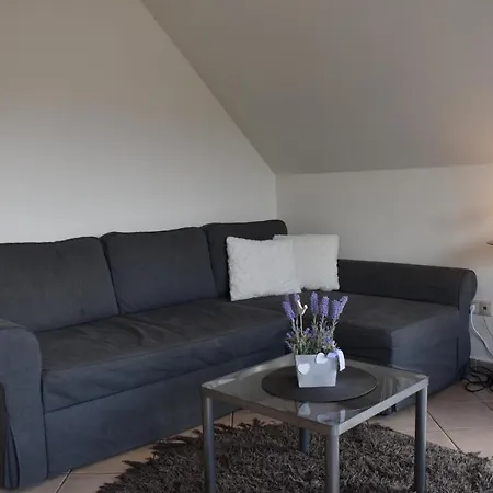 Sari Apartman דירה